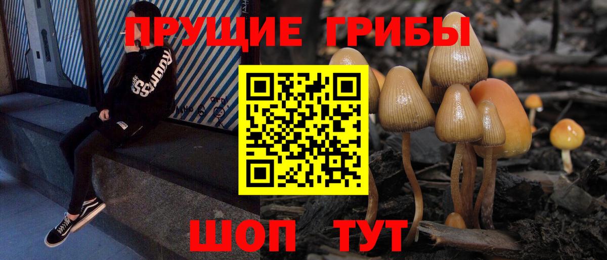 Галлюциногенные грибы GOLDEN TEACHER Конаково